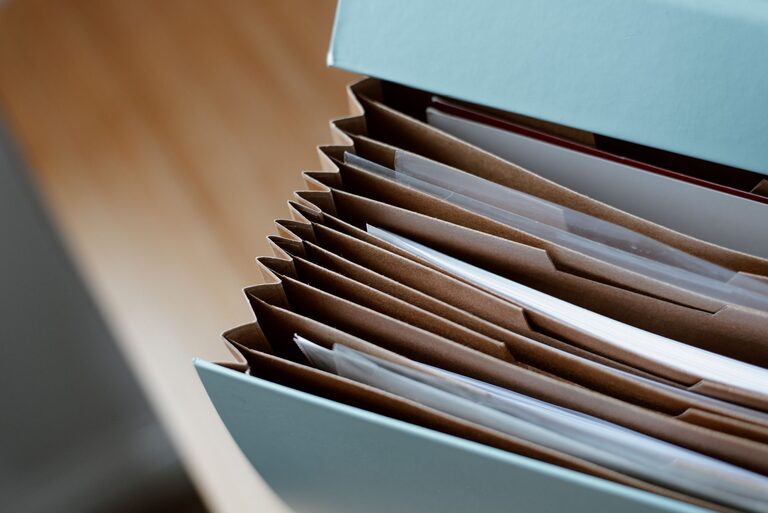 Cómo organizar los archivos de tu computadora de forma simple
